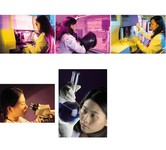 女科研人物图片 实验员图片