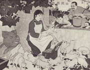 公社养猪场插图素材 