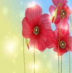 �컨ʸ��ͼ �ʻ��޿��ز�