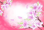 花朵墙体绘画素材