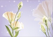 �ֻ�ٺϻ�ͼƬ �ʻ�װ�λ��ز�