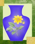 ��ƿװ�λ�ͼƬ