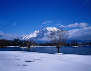 冰天雪地的图片 冬季湖泊美景图片