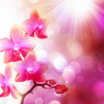 �λ��ʻ���ֽ��������
