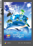 冰爽夏日促销海报 海豚图片 
