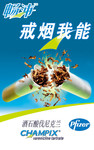 ���̺��� ���濴���ز�
