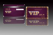 ����ɫVIP������