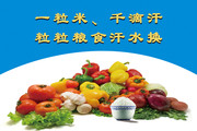 节约粮食挂图