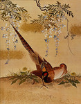 工笔花鸟画图片素材 