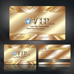 �ߵ��鱦��ҵVIP��ģ��