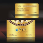 �ߵ���ʯVIP��ģ�� 