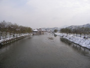 湖边冬景图片素材