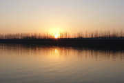 池塘夕阳美景图