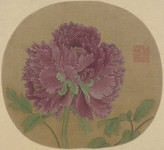 牡丹扇面画 宋代花鸟小品