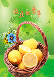 水果装饰画图片素材 水果篮子