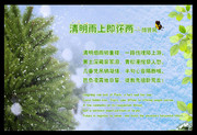清明节祭祖诗句展板