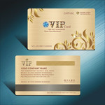 VIP��ʸ���ز�����