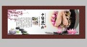 中国足道文化宣传栏