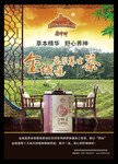 养生茶宣传海报