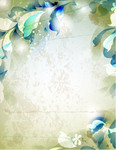 ֲ��Ҷ�ӱ����ز�