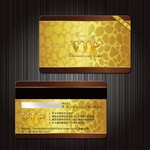高档服装VIP卡模板