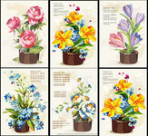 漂亮的花朵矢量图