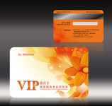���ݵ�VIP������ 