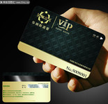 �ߵ�VIP��ģ������
