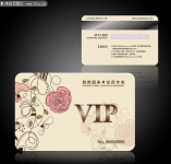 淡雅VIP卡设计模板