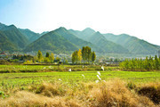 乡村随拍景色素材图片