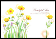 �ʻ�ˮ�ۻ� ��ɫ�����ز�