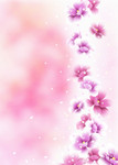 移门图案素材 粉红花朵背景