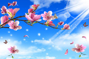 玉兰花装饰画图片素材