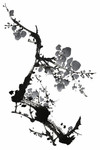 高清水墨梅花图片素材