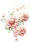 高清牡丹花工笔画素材
