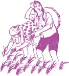 农民插秧图画 