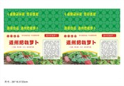 蔬菜包装 农产品包装设计