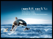 海阔任鱼跃企业文化图片