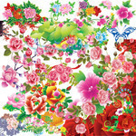 牡丹花素材集合