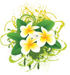 白色手绘花朵图片