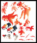 朱砂金鱼图片 国画金鱼大图