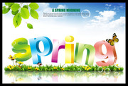 spring����������