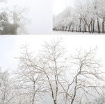 冬天雪景摄影图片