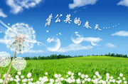 蒲公英图片 春天风景素材