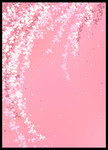 ֲ�ﻨ�ܲʻ�ͼƬ
