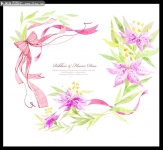 手绘粉色百合花 信纸背景素材