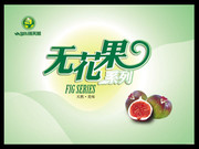无花果宣传海报