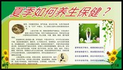 夏季如何养展板