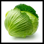 卷心菜高清图片下载