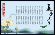 夏季养生展板素材